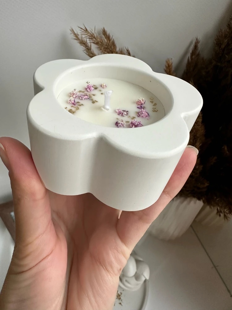ثلاثية الأبعاد زهر البرقوق على - مراجعة Candle Supplies Jars وسعره